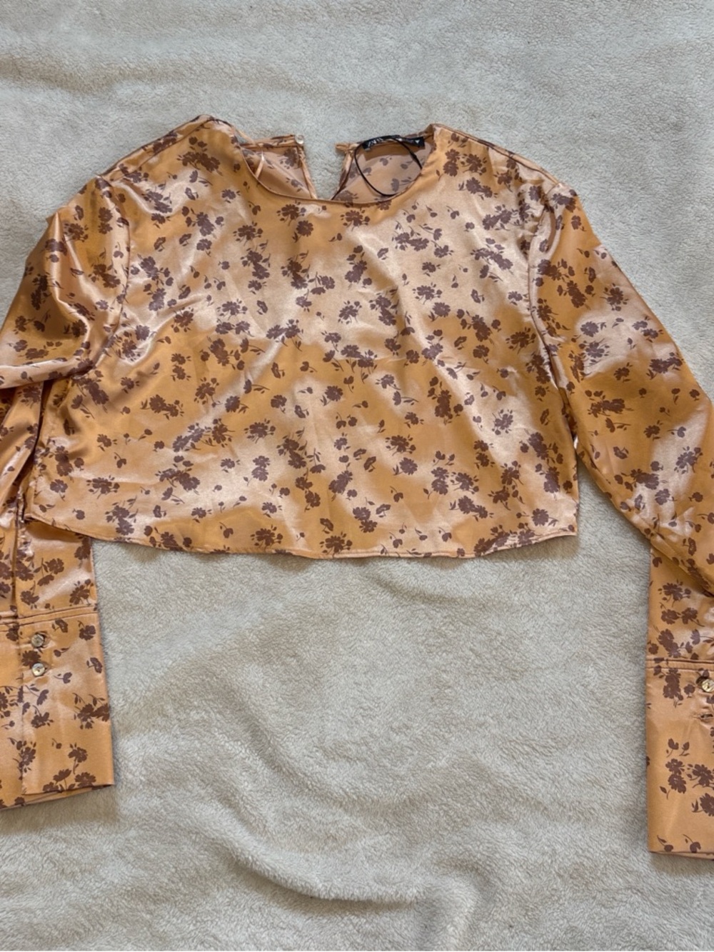 Zara Satin Floral Long-Sleeve Crop Top - Tan and Brown